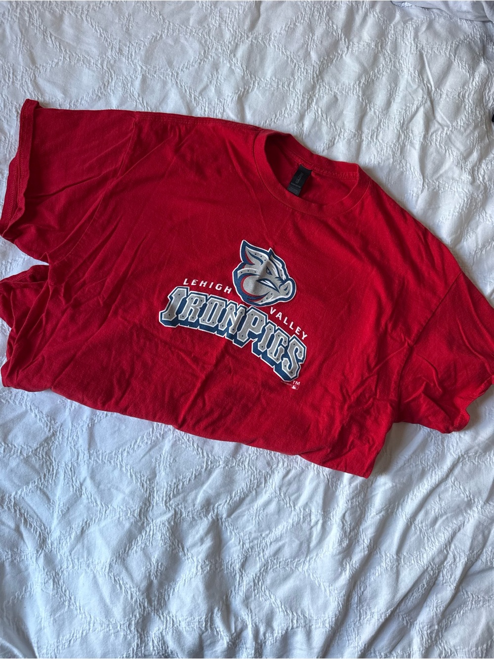 Lehigh Valley Iron Pigs Tee Gildan Sz XL Men’s